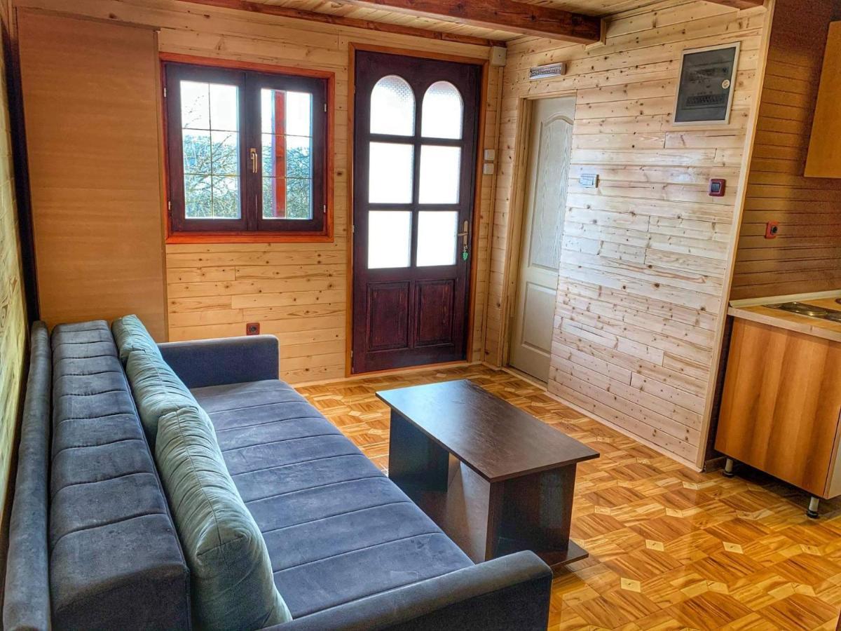 Brvnare Cirkovic Villa Zlatibor Ngoại thất bức ảnh