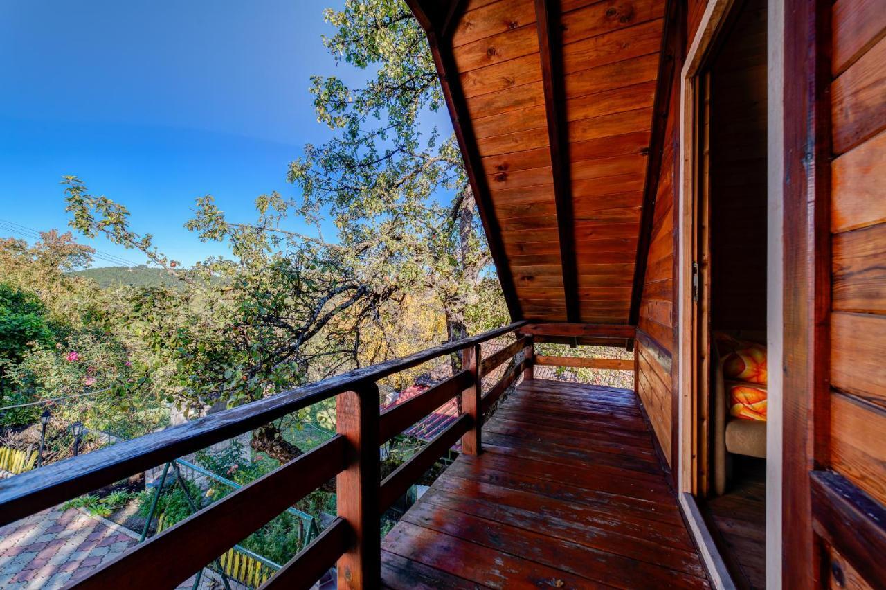 Brvnare Cirkovic Villa Zlatibor Ngoại thất bức ảnh